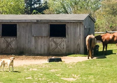 Barn exteriors