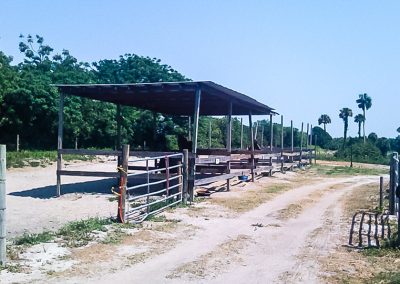 Sheds and turnouts