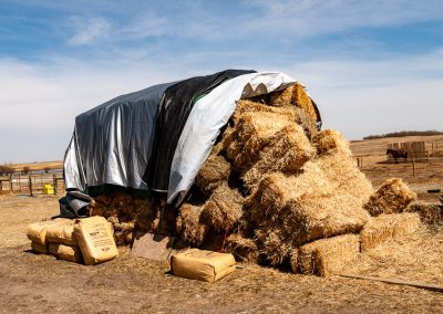 Straw bedding